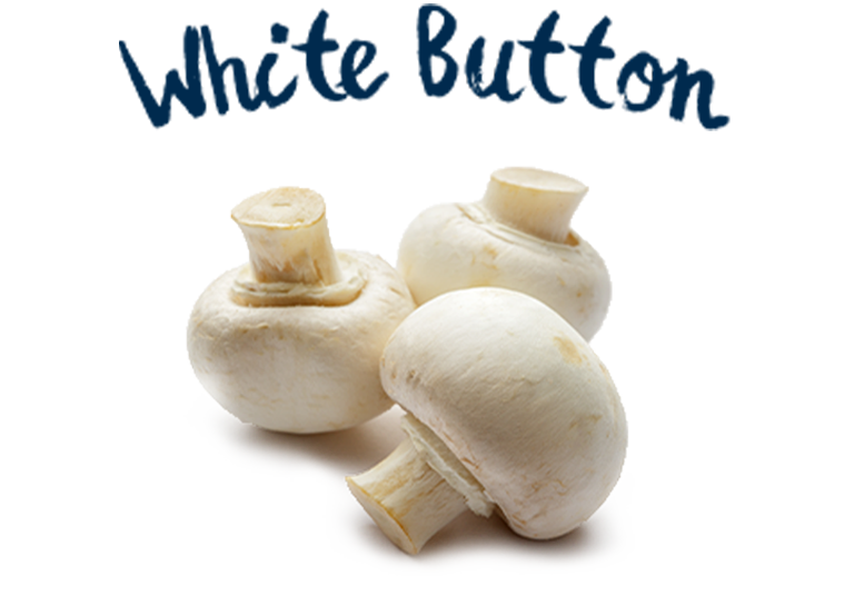 White Button