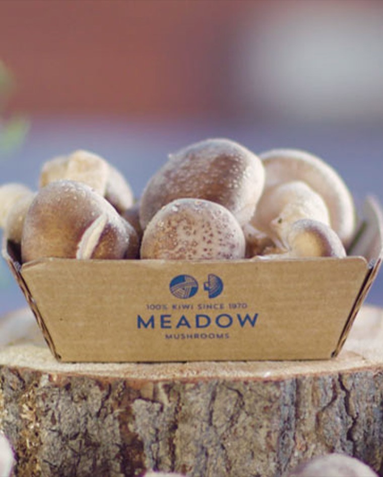 Meadow Mushrooms: 6. Premium Shiitake