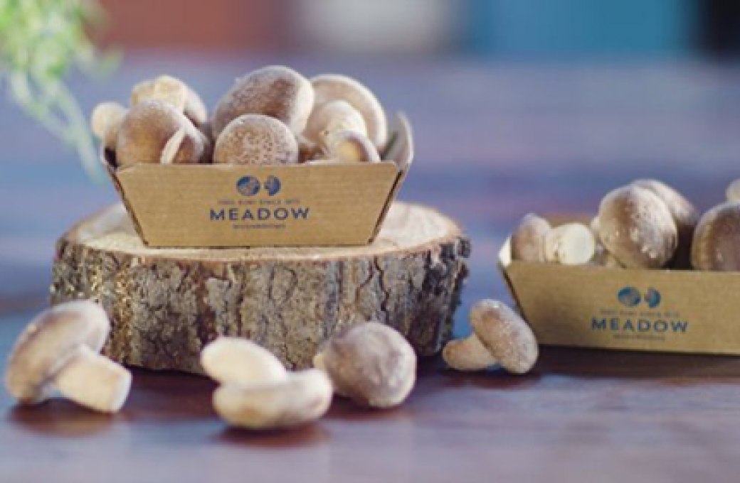Meadow Mushrooms - Our Story
