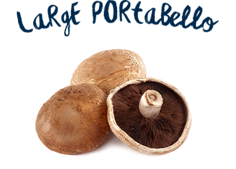 Large Portabello